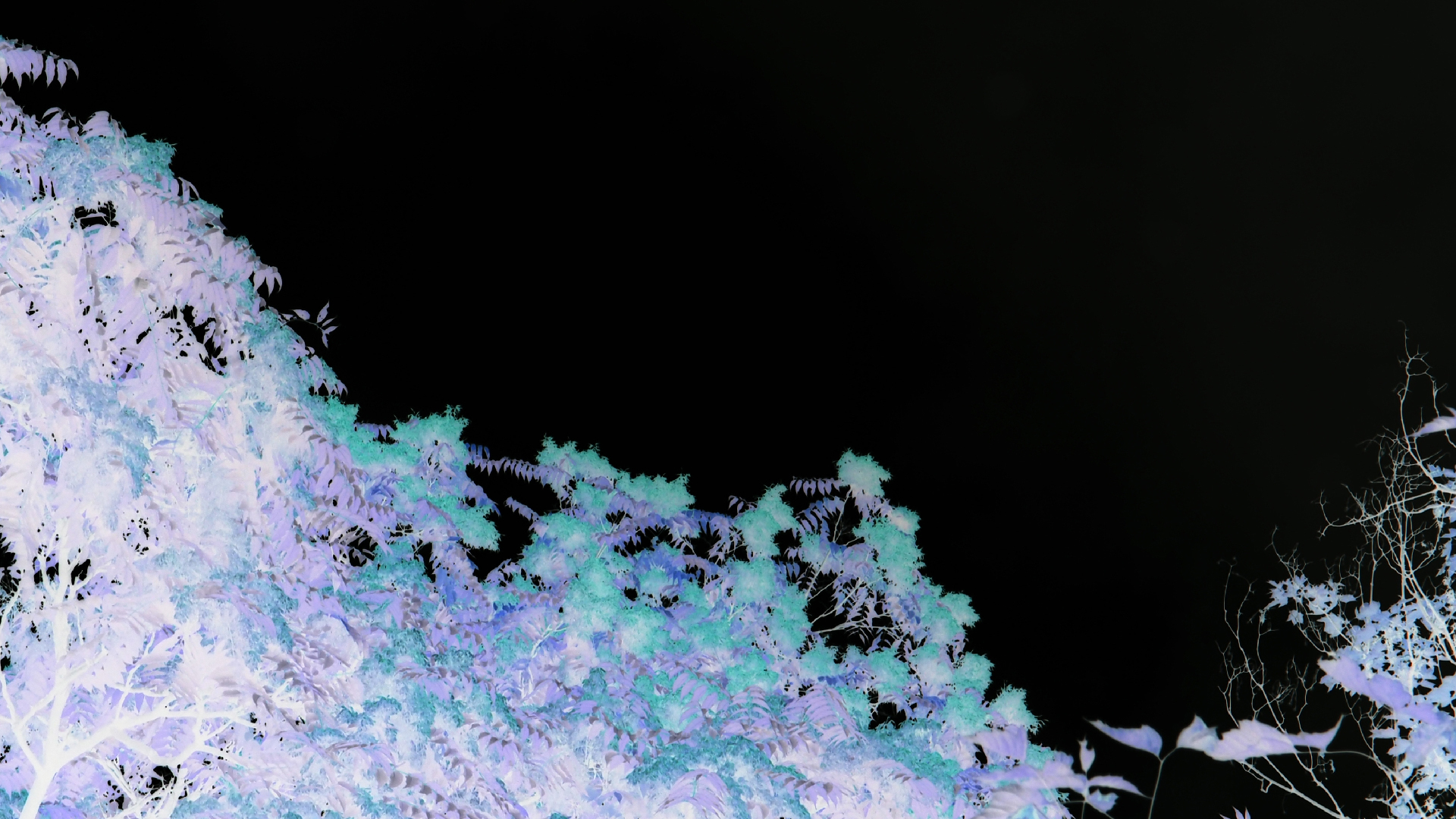 2021-08-29 Das Kleine Regen Rhythmus Orchester spielt 'autonome Beats' (Spiegel)